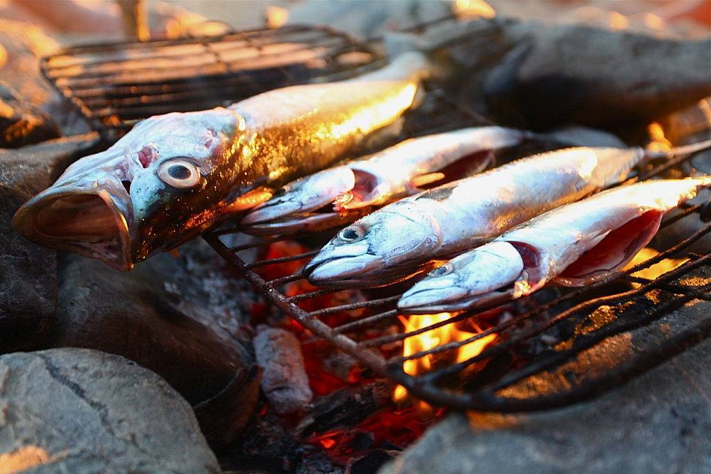 4 Grilled Fish