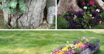 The BEST Garden Ideas