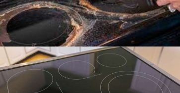 The 5 Effective Ways To Clean Your Glass Stovetop