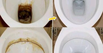 Very clean toilets: 3 foolproof tips with white vinegar