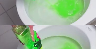 Dish soap in the toilet, a life-changing move – you’ll do it every day.
