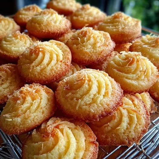 605204133 4368571790133568 1889251492070176215 n